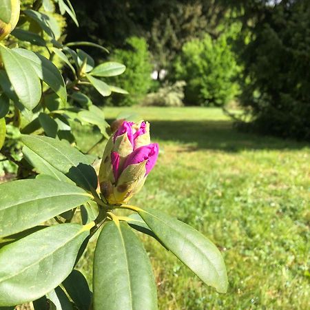 Idas Garten Bad Lauterberg Buitenkant foto