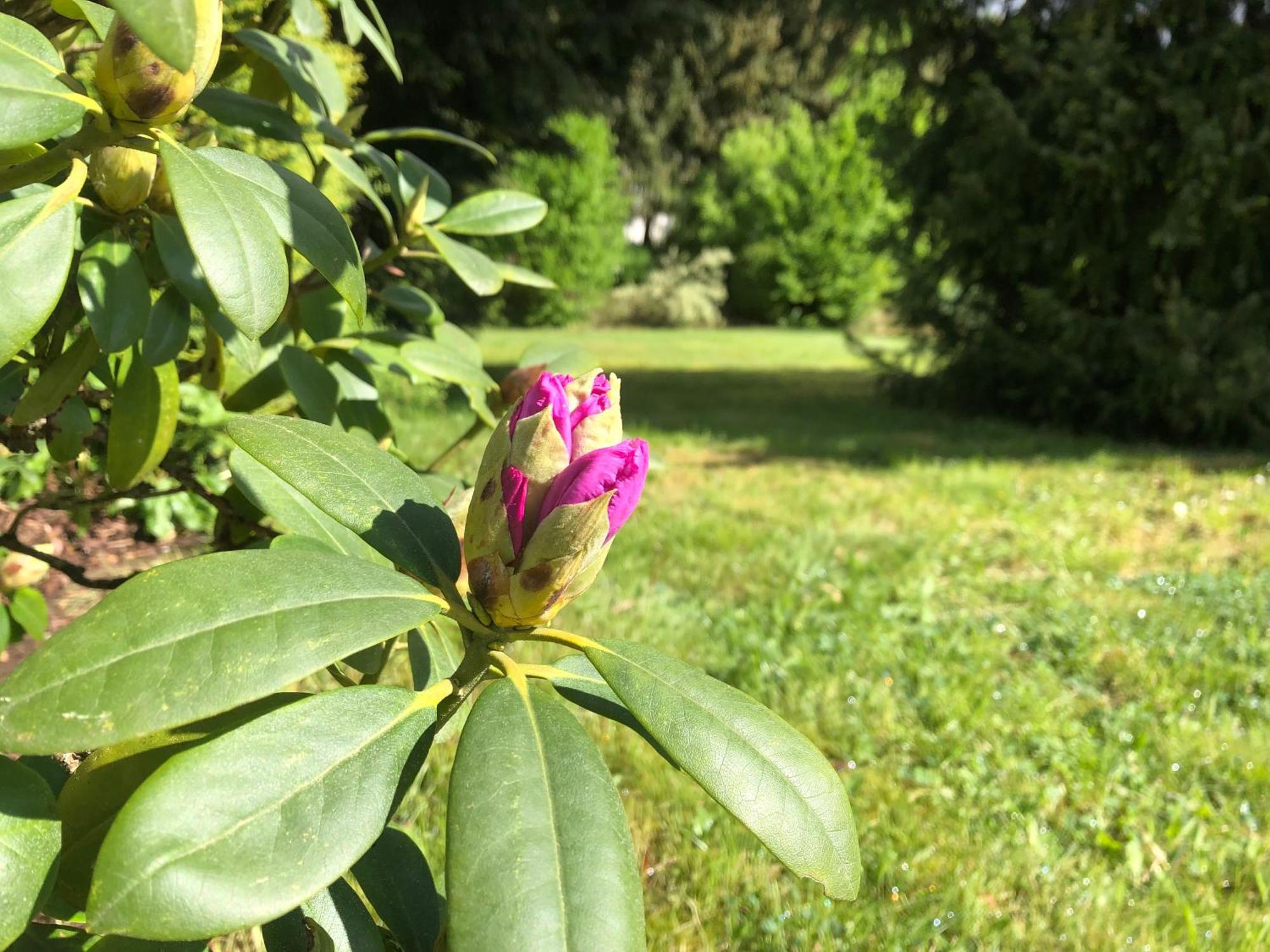 Idas Garten Bad Lauterberg Buitenkant foto