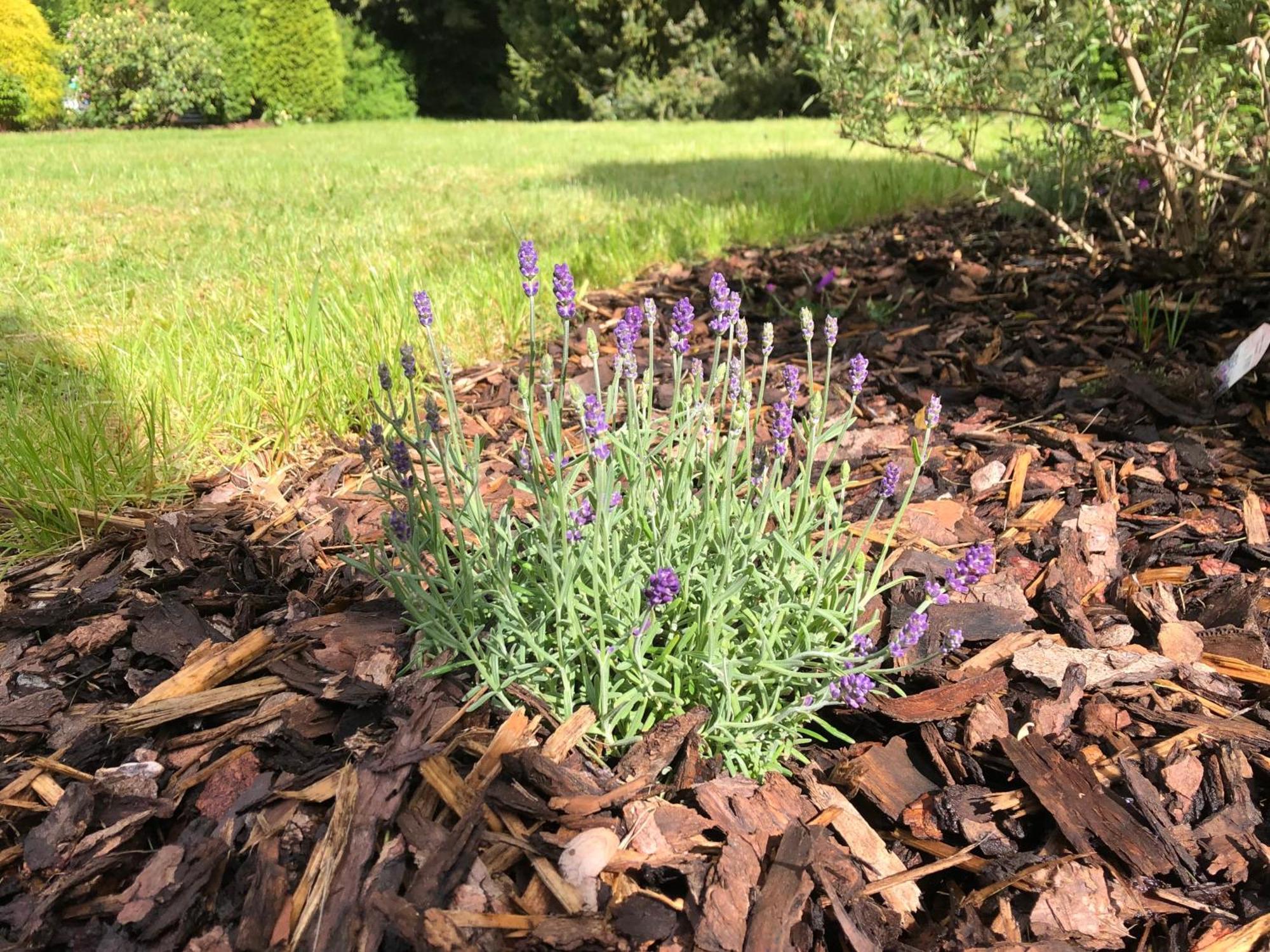 Idas Garten Bad Lauterberg Buitenkant foto